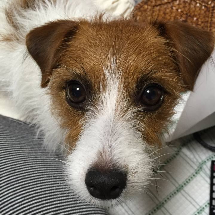 C77bca08 6dcb 428e bfbf 05ef5fcef3ed