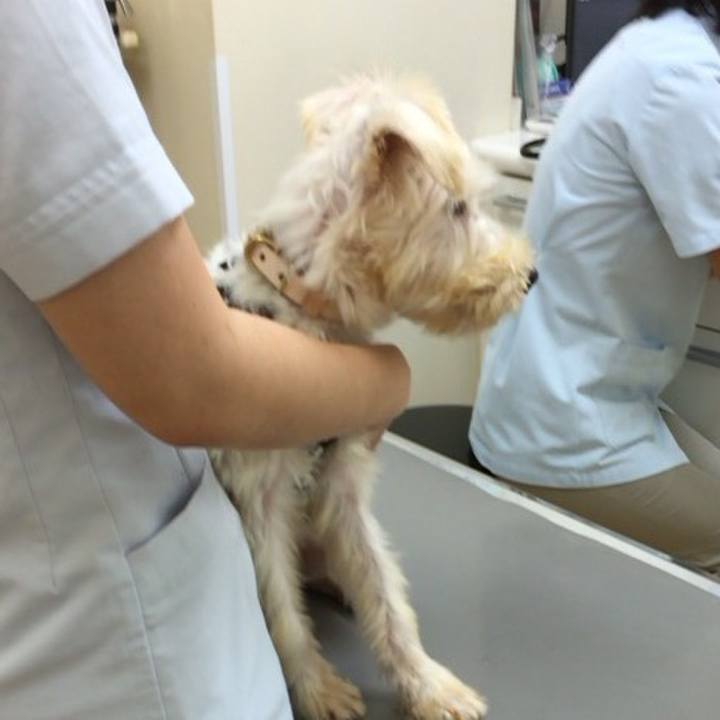 C77bd207 59a2 4b9e 8f7f 98a887878ffb