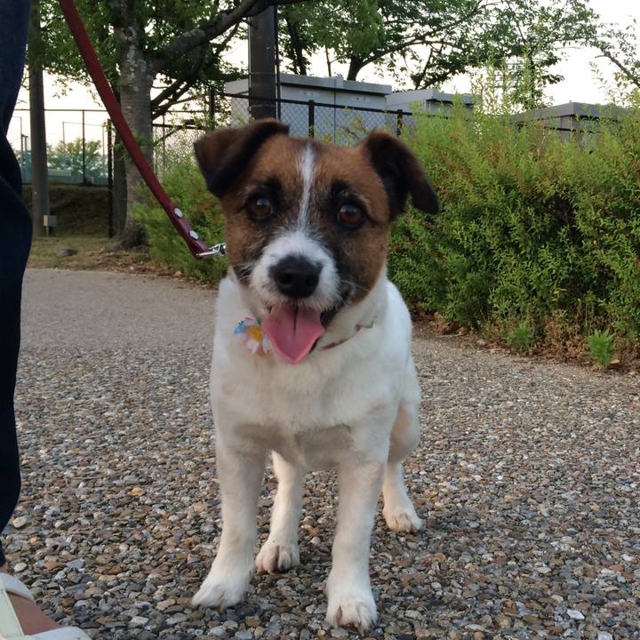 C77c916f 62c1 488a adbf 02f181ef2464