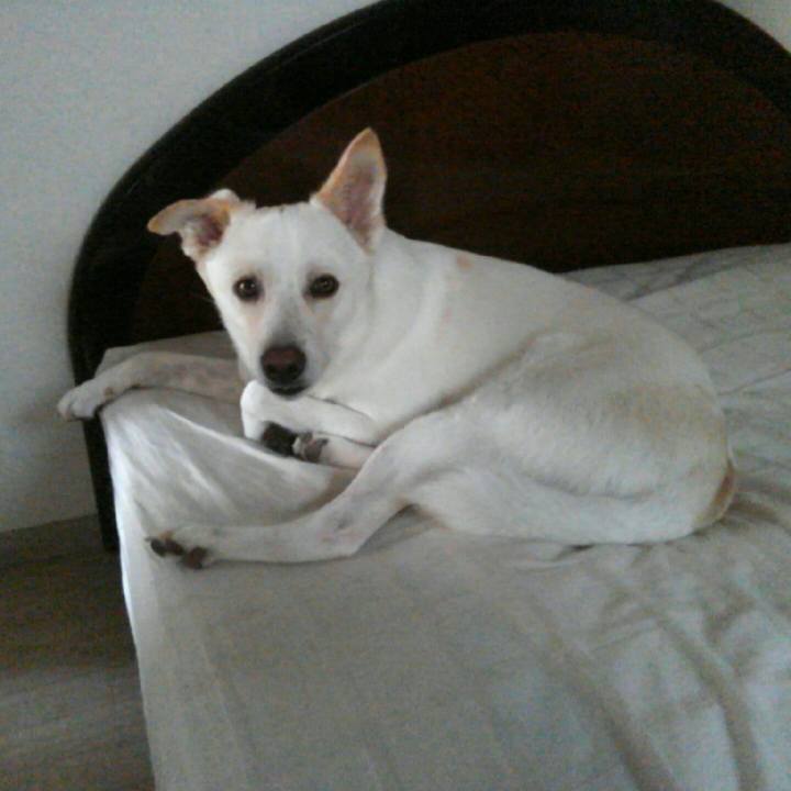 C77ce946 79ba 40c6 b1b3 5925f5873aed