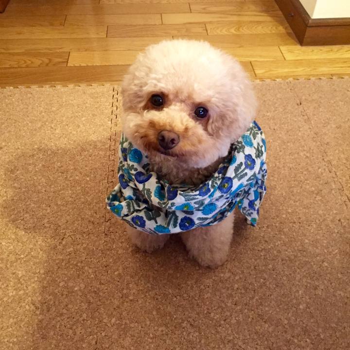 C77d60d2 67aa 45c8 ab5e 330456743124