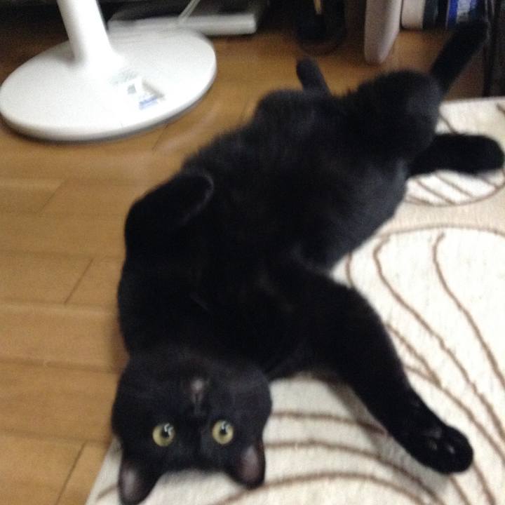 C77da19b adf1 47d4 bf35 eef7f9f454e0