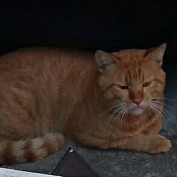 C77dae67 6ee9 4745 a557 8bacafb0386e