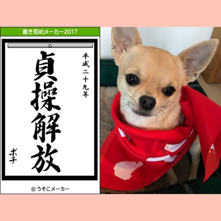 C77e63ef 37fc 41b5 8f4e dae4e2b568bc