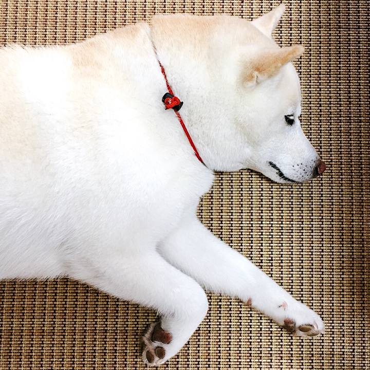 C77e988e 240f 4ec5 8ad3 b686717288f0