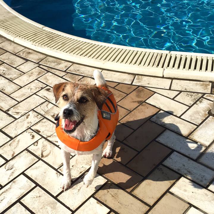 C77f175c d342 440e 83fe ffdb81ff2fb7