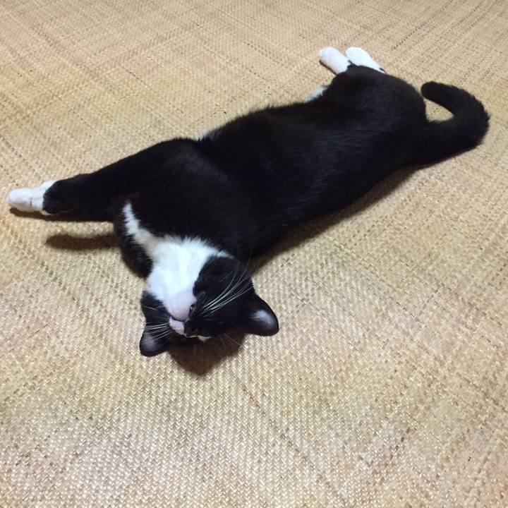 C77fdefd 8f91 4ee1 8d1b 59f452287300