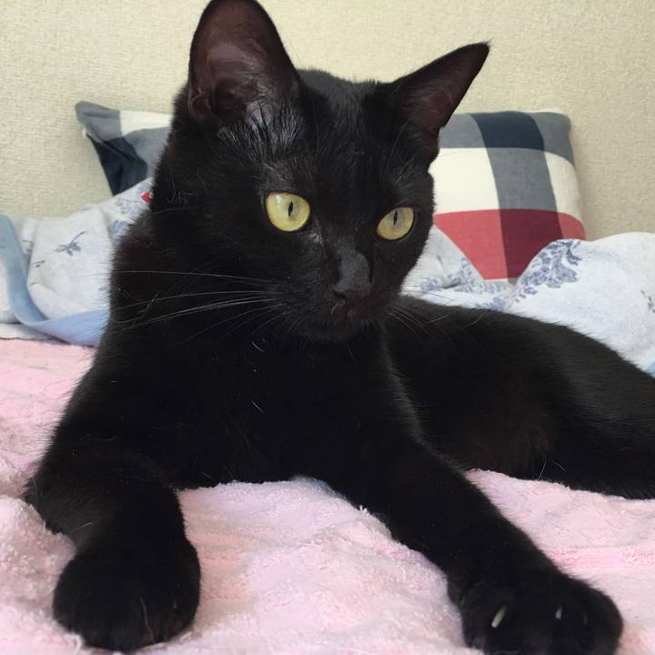 C7804c2c 913b 484e 88b7 ef65835212e3