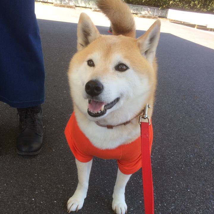 C781396b 9231 4580 8d1e b2184ec7c3d6