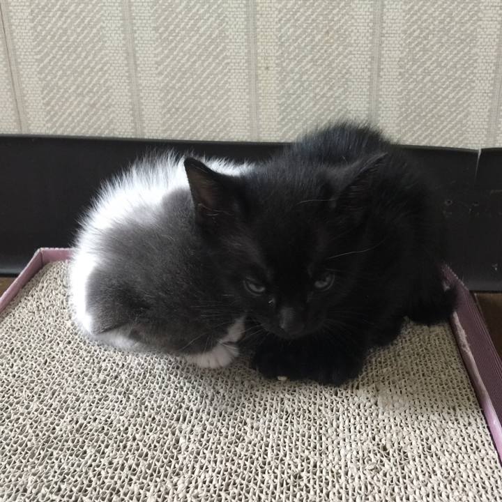 C78149c5 1a93 45b0 ab03 ff047375c0c6