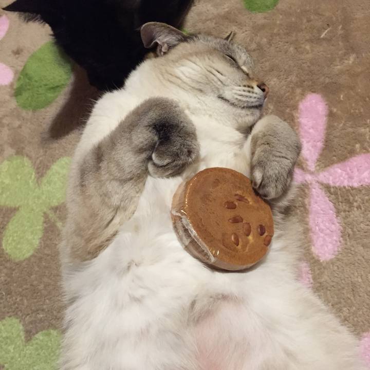 C78152ce 0882 4665 addc ad249f32f845