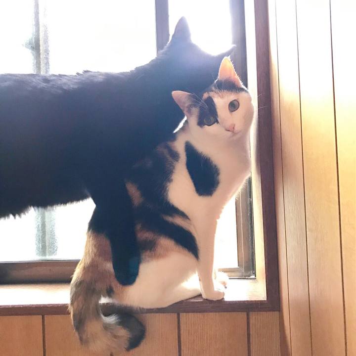 C7816dd8 3076 44e9 819c 5425b84bd988