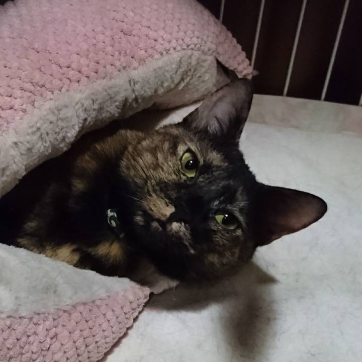 C781980b c92a 465f b6e3 f1b7002325d8