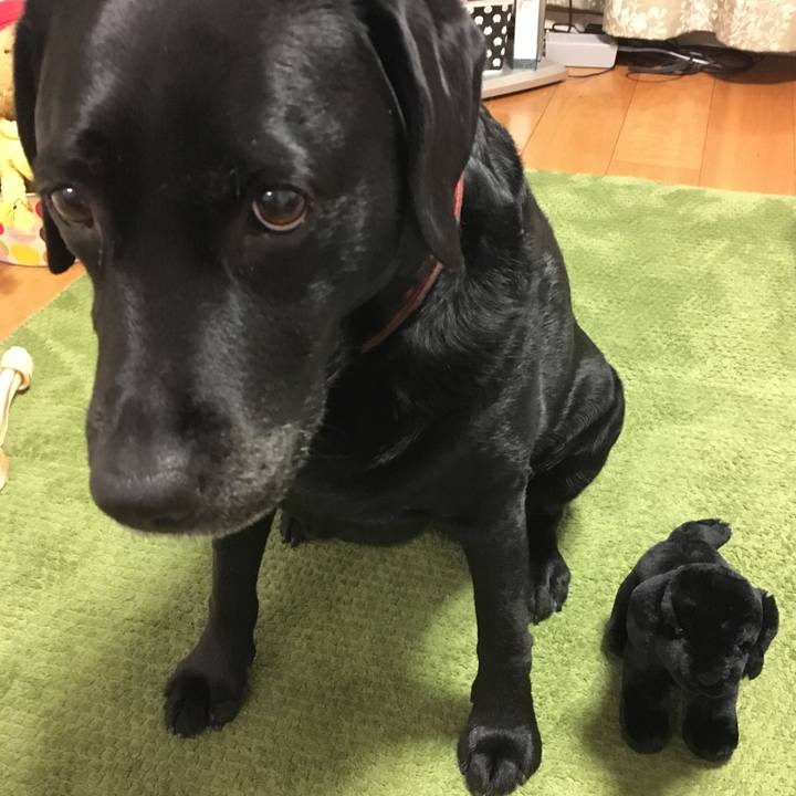 C781ee38 f6ed 4dfe a357 e500f560d309