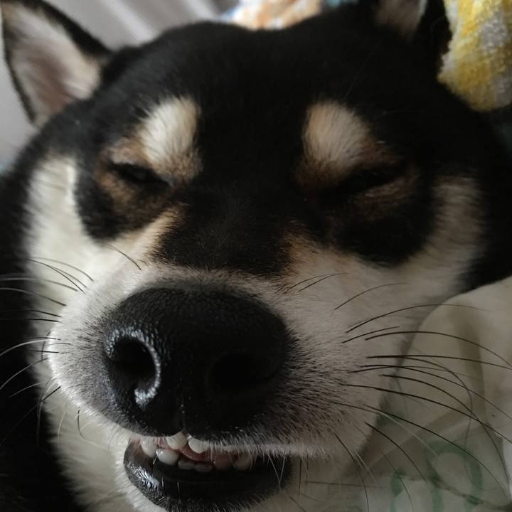 C7822cd3 38ae 48a8 9e6f bb52e7b40638