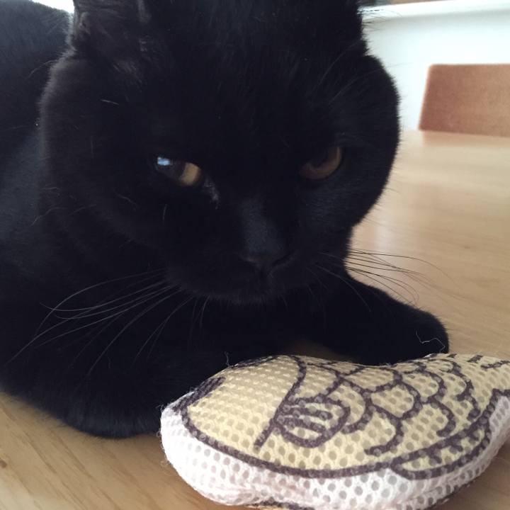 C782772e fdd5 467d a8c0 57232e2d4b92