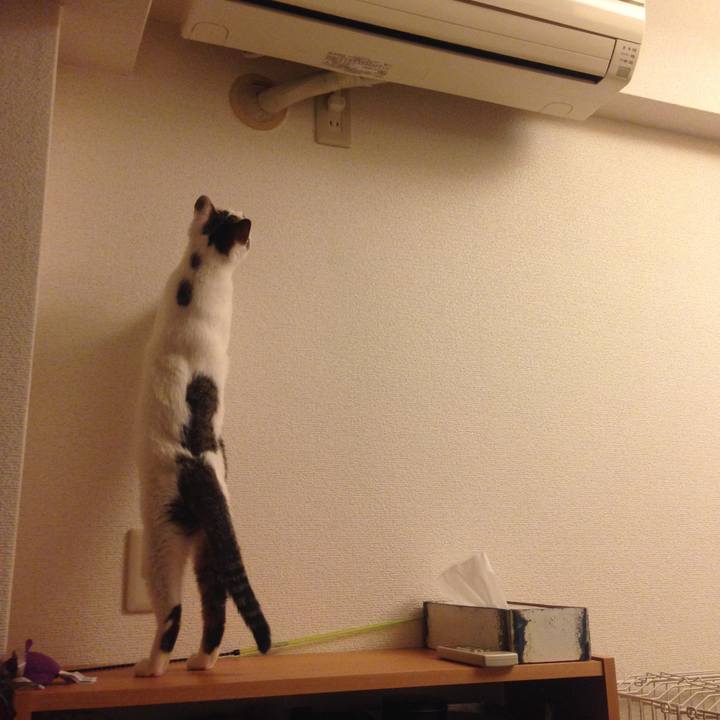 C782a821 271d 4239 85b7 88914b78182d