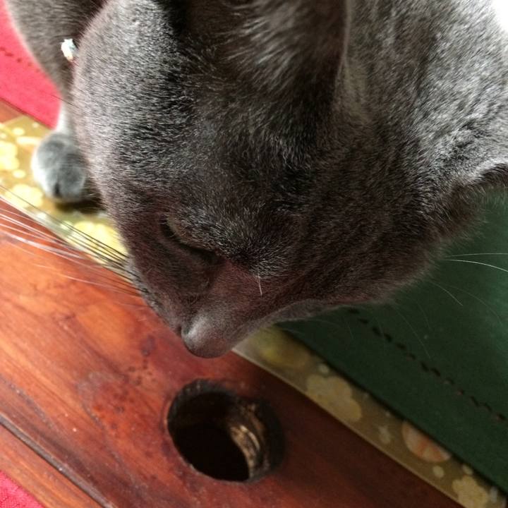 C78321f1 ef06 4b1d 8459 f9909586fc7d