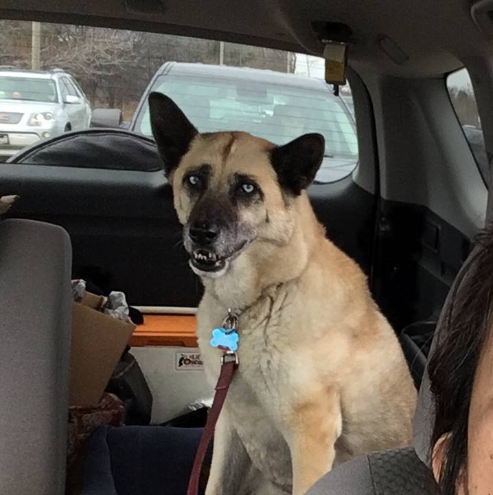 C7833825 2a63 4ad1 9c12 ee6b23eea8fa