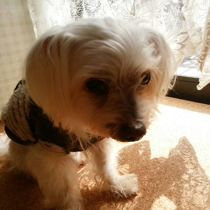 C78487c3 59e3 47dd b0e3 c9a7cb78adaa