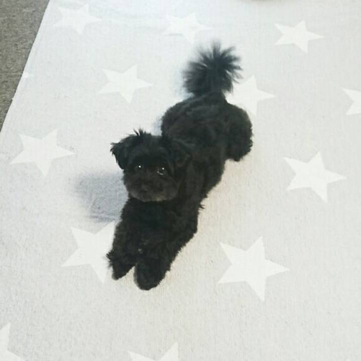 C784ea32 3c2c 4614 8a1e 462fcf735ecb