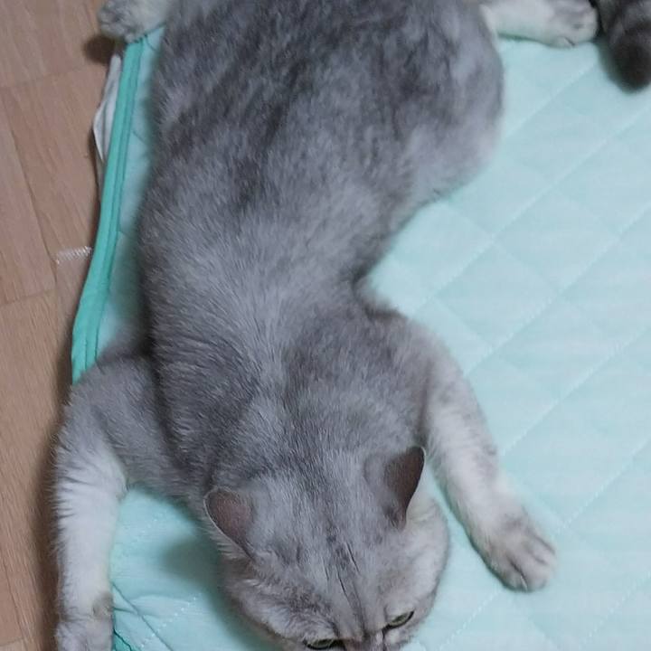 C7850885 8bd5 43c8 b16e 6de05dd49c11