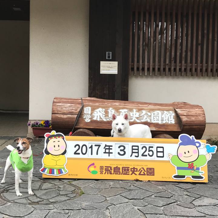 C785870a ad55 43b4 9518 21ea0a590d3d