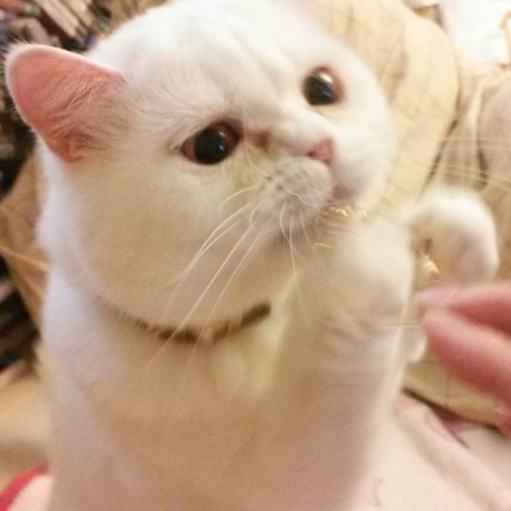 C7865392 a6c3 45f7 a86d 77cdc11fd97f