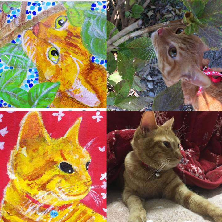 C786c65f 900f 496b 94fe 8e668608b1ab