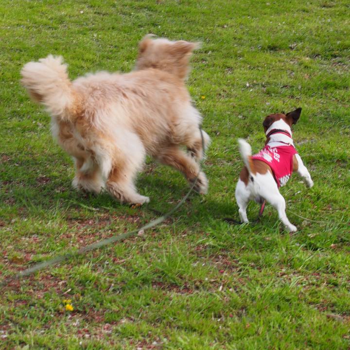 C786e35d 9d60 4dbb 8449 8ffa258f5578