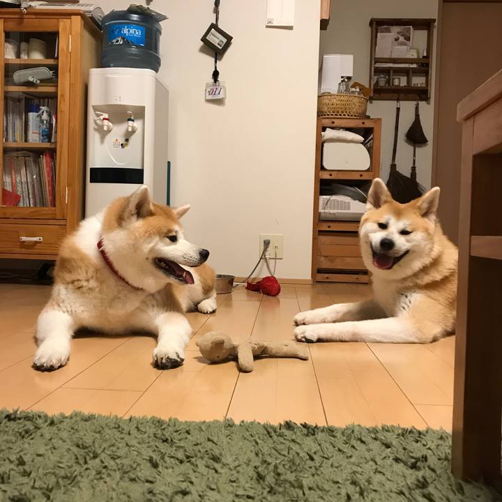 C78706e9 cb6b 4e18 8dc5 de6b0fbac1d6