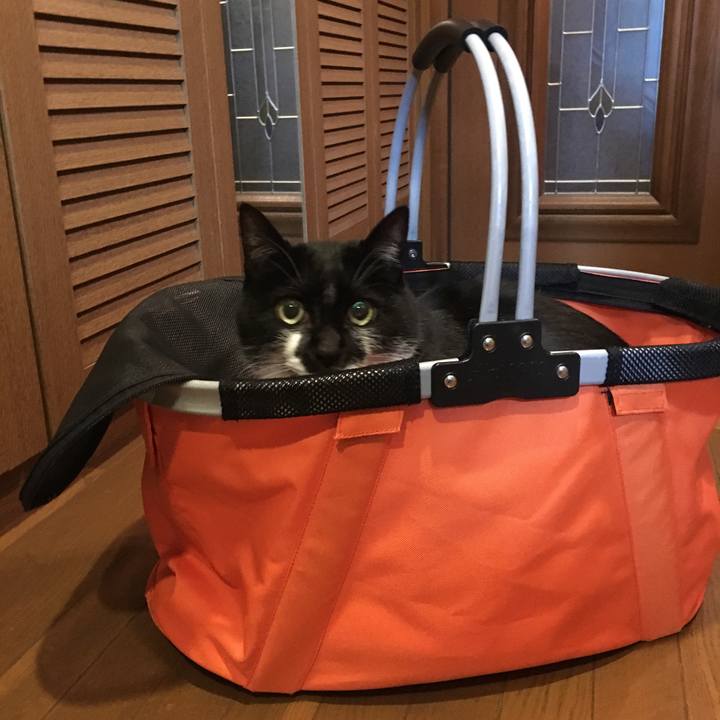 C78714d2 53d2 4d89 a97a 013cce5c64bc