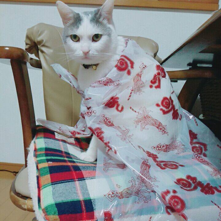 C788e4eb 42a0 4c74 8ae8 4bf656d98bc0