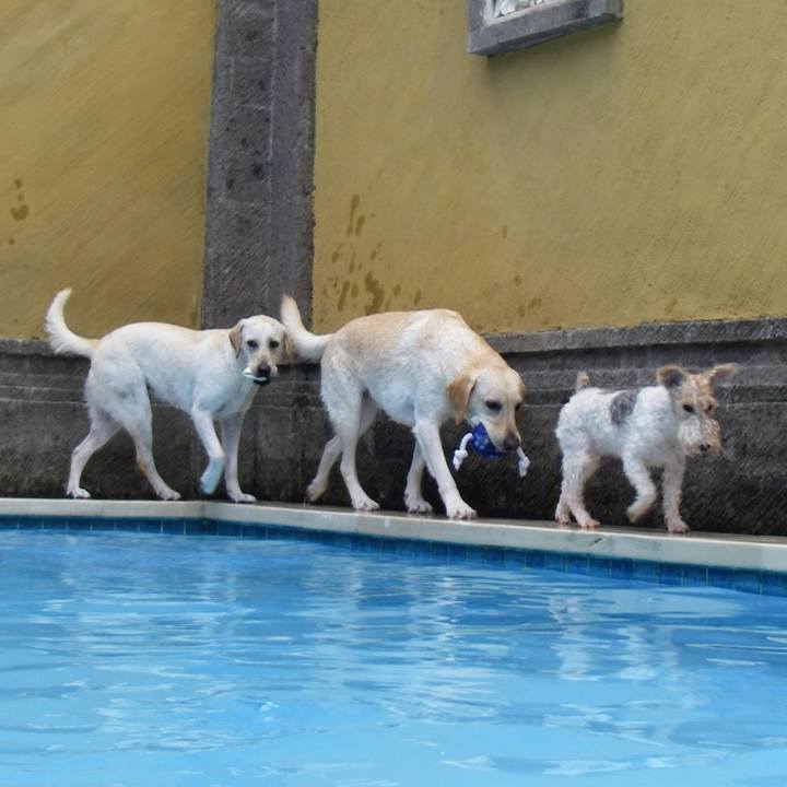 C78965a6 e2f0 46b7 ba5a 884a9a20a5f3