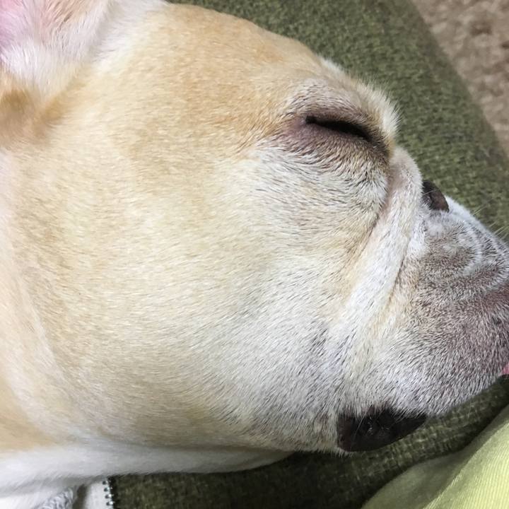 C789b830 f11f 473c bb80 642212ddd29d