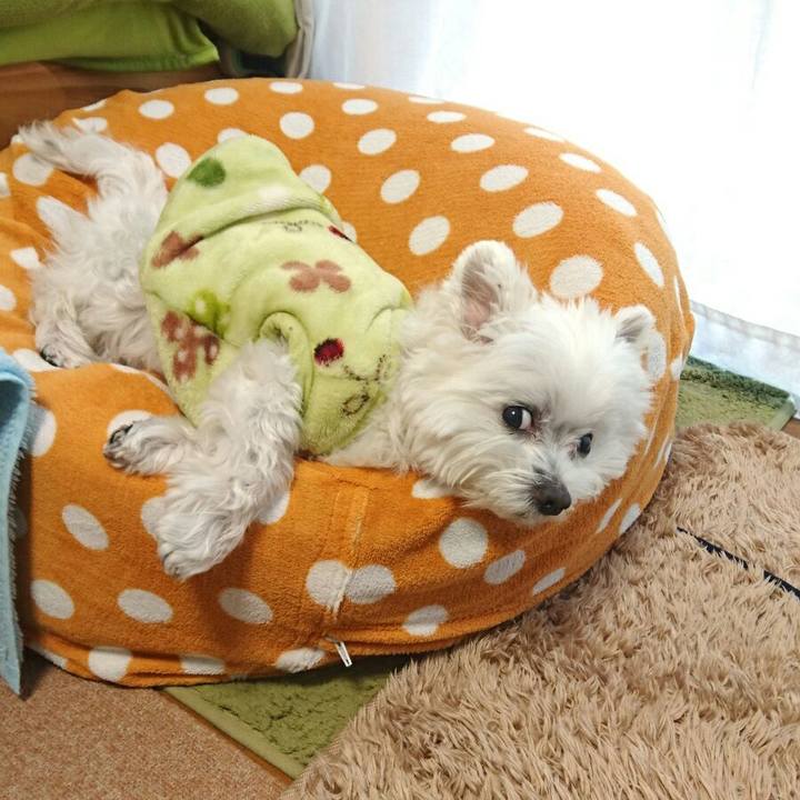 C789c70d e89a 4f0d 9da6 55d5ae5cdfcb