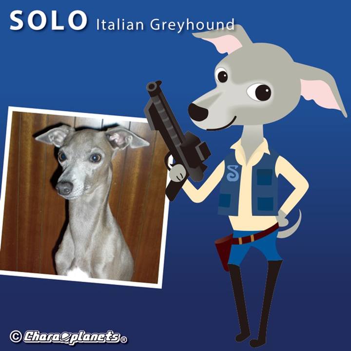 C78a2800 209f 4515 ae39 625ff8e5a250