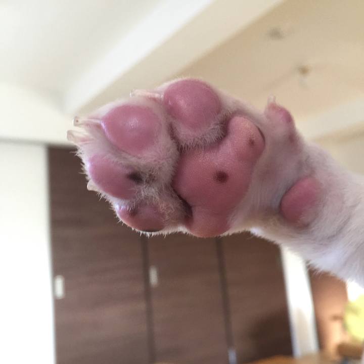 C78b5651 5157 46f2 be67 d4cebb1f2d0e