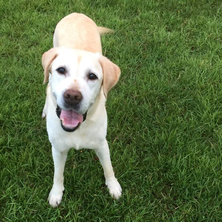 C78bf771 d60f 4d74 80ab f8fc03ad9c31