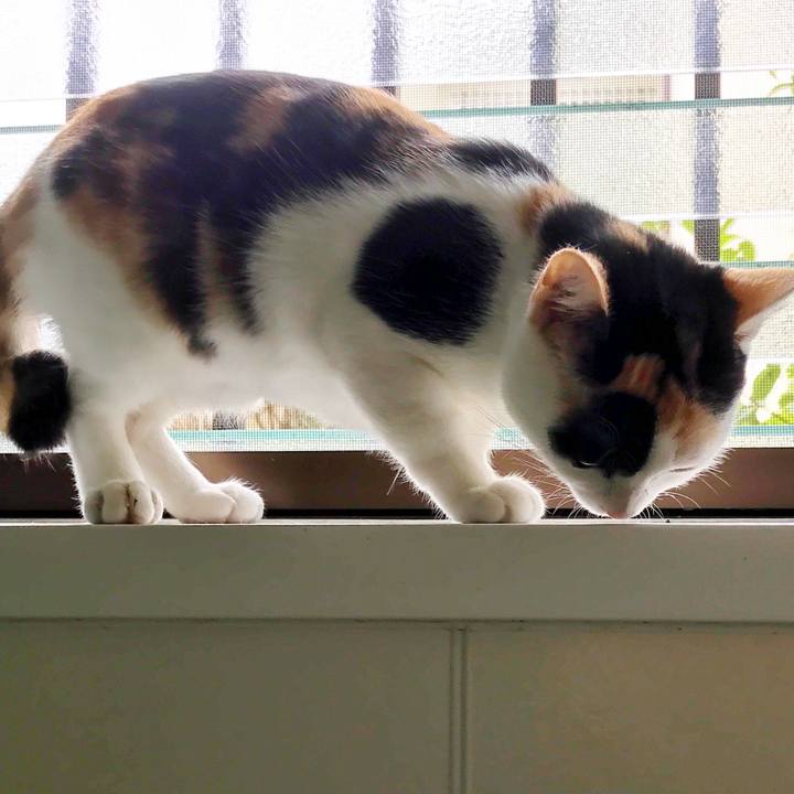 C78c0cf1 af29 4823 9fec c94f3db36714