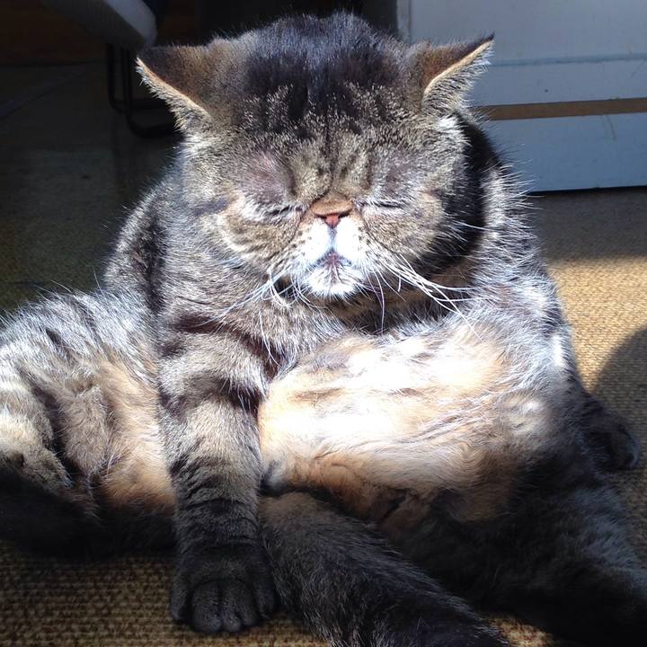 C78c736c 633d 4a22 825e e4e8164a5669