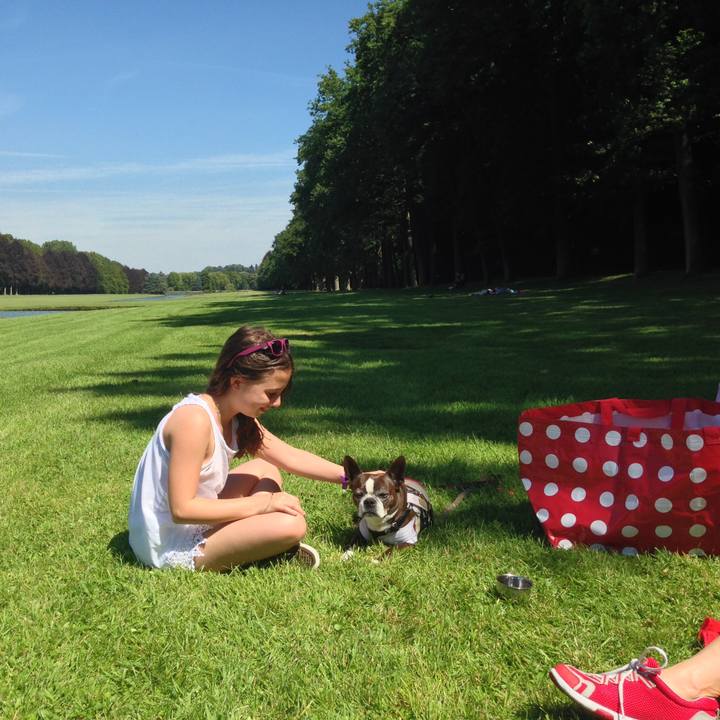 C78ca065 07b5 49aa 89fc 67ed1bedf4cf