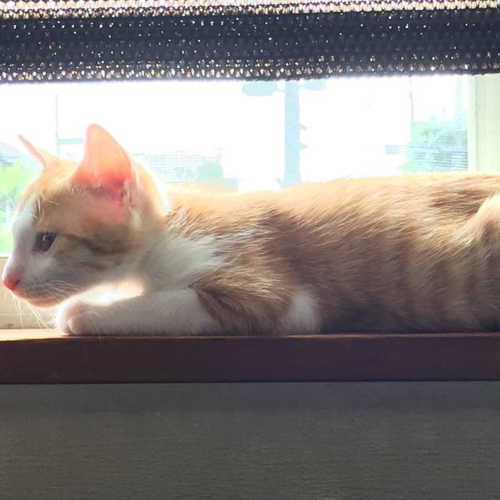 C78cd98f 964e 4a23 9f01 60b27e2fa366