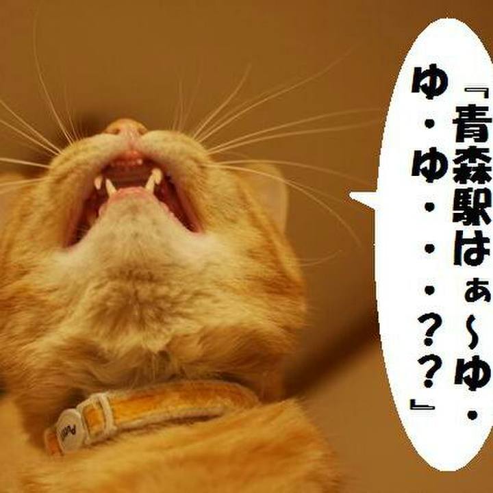 C78d338f 9eef 459a 9ac6 7047519502a9