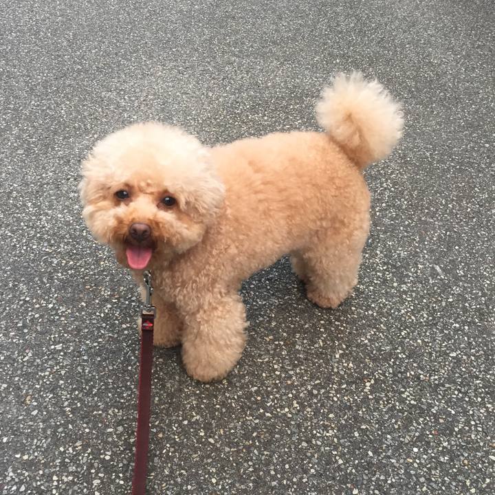 C78d80fa 46a1 4e33 992d 41b5ebbba24d