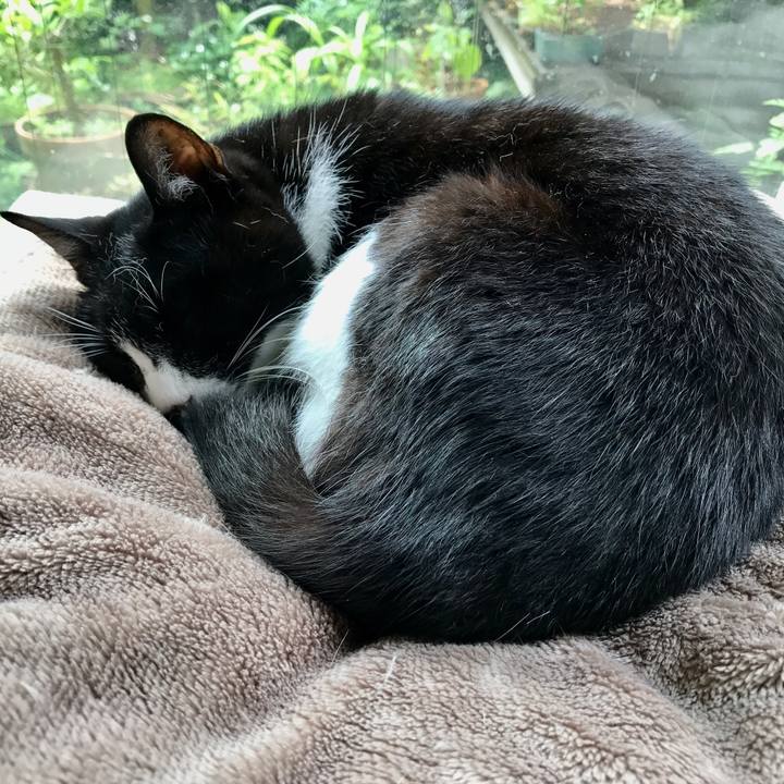 C78d90fe 251a 4579 b2c5 bb164e08e92d