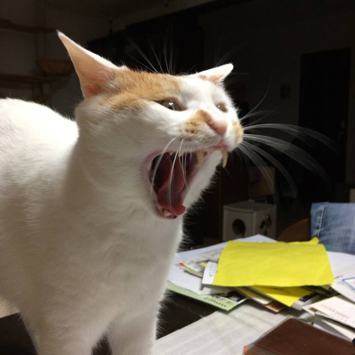 C78de5b6 4930 4d8c a1c7 593f4907140c