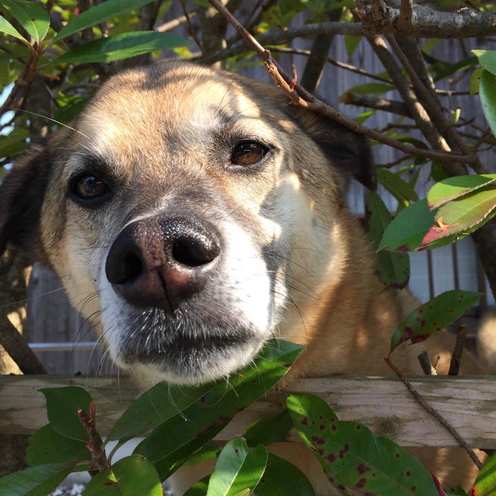 C78df220 d934 4678 b885 a3d06ae025a3