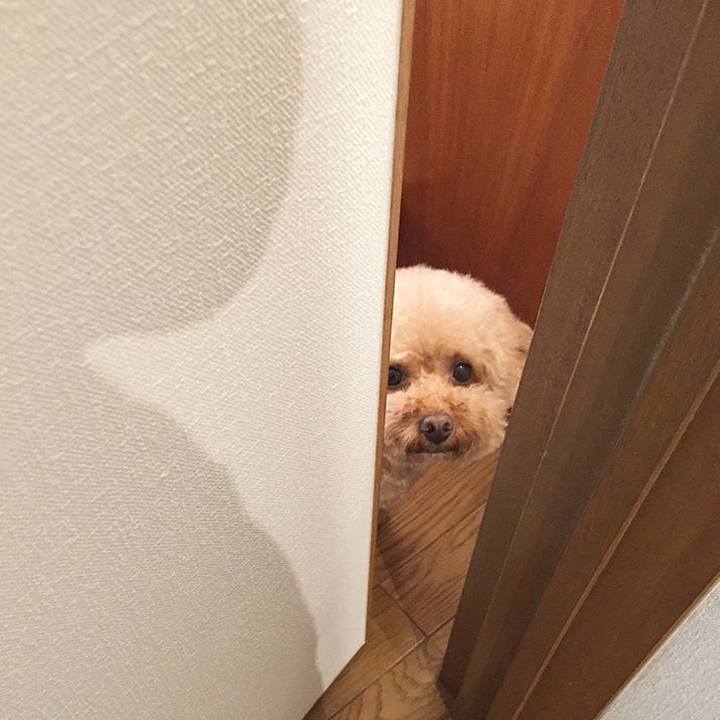 C78e243b 2e07 4eb9 a46d 3e3b46a6d9dc