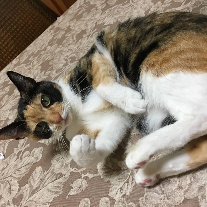 C78f1557 9f46 47dd a0d0 aa9351ef0b5b